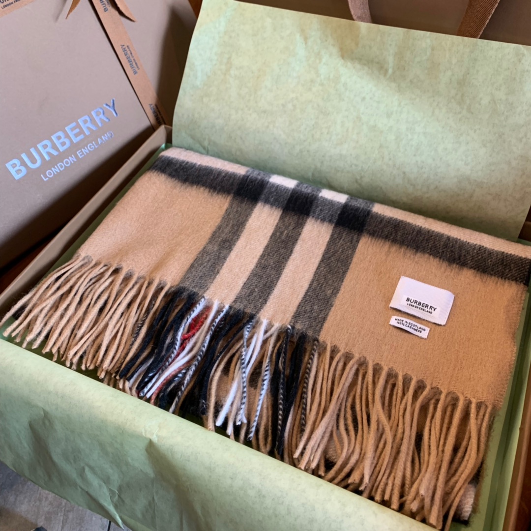 Burberry Scarves