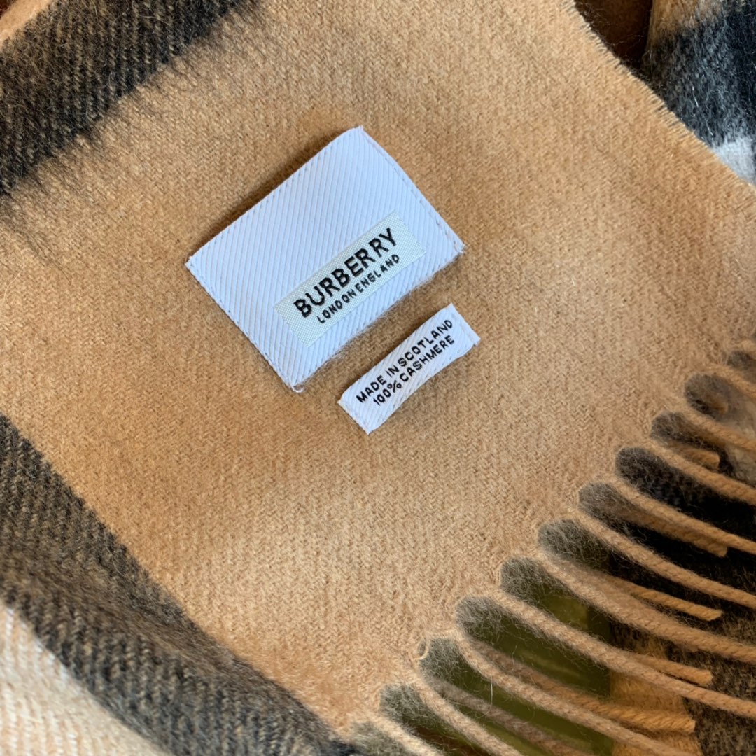 Burberry Scarves