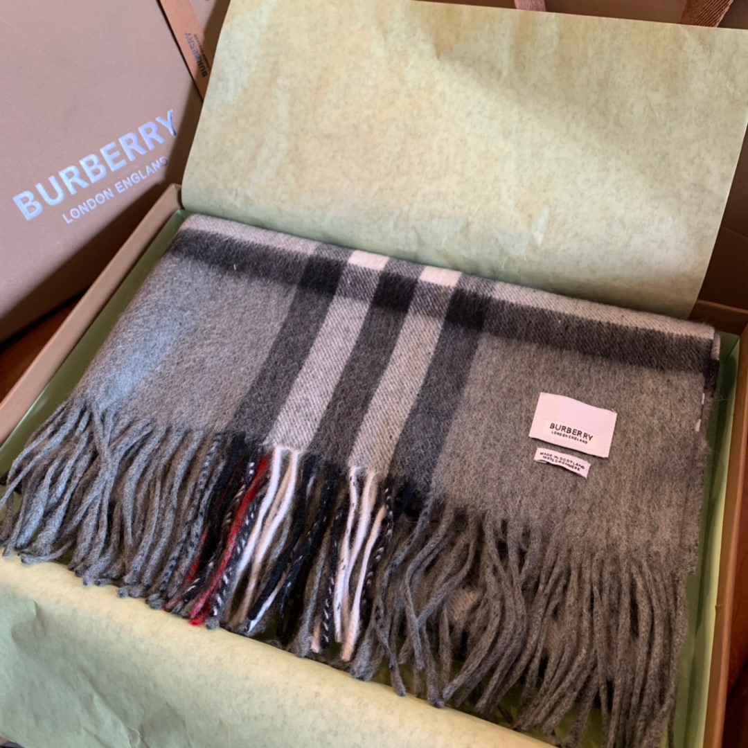 Burberry Scarves
