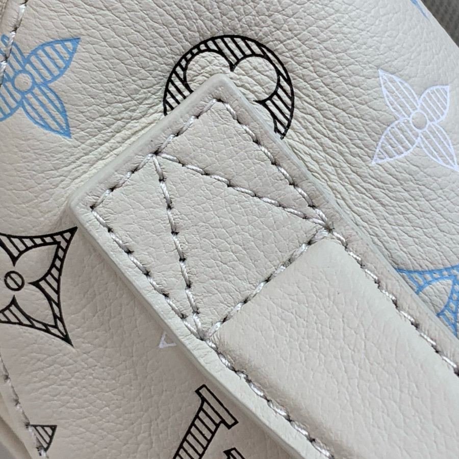 M28619 Rush Bumbag, LOUIS VUITTON LV