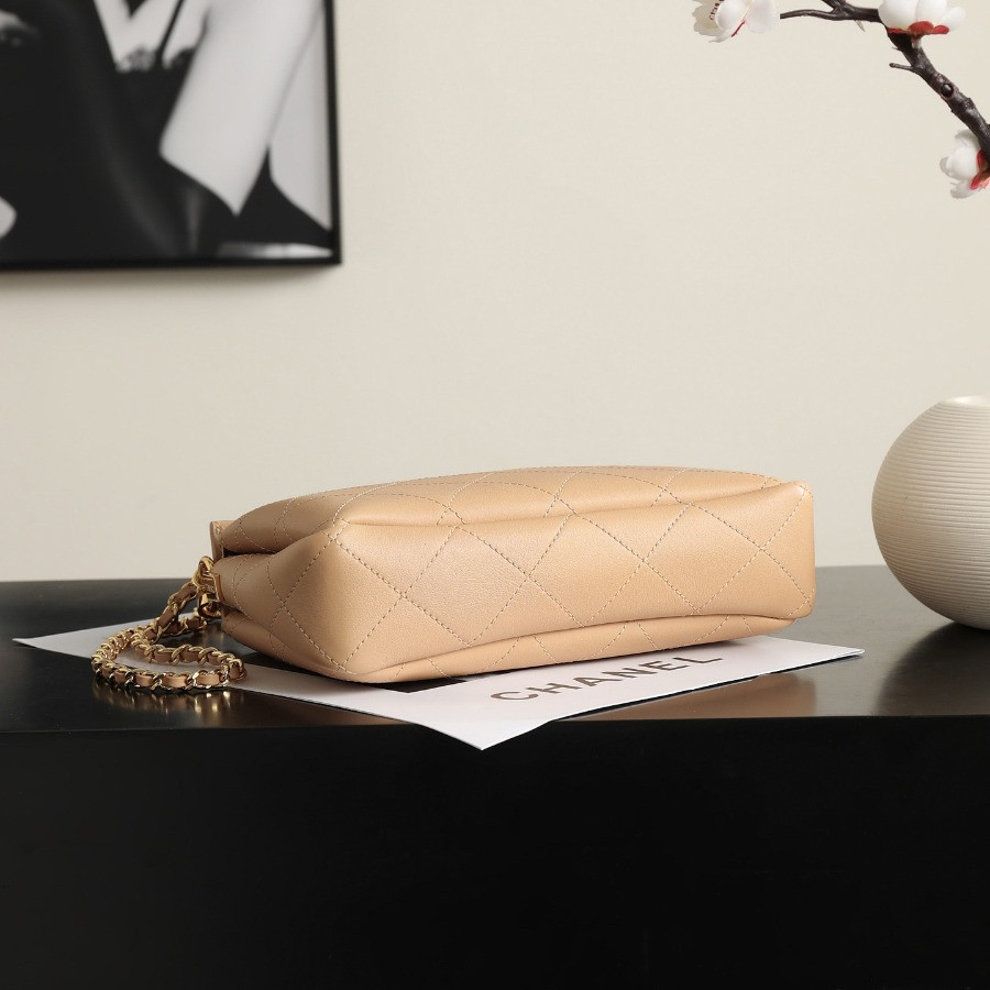 CHANEL Classic 11.12 Hubo Handbag